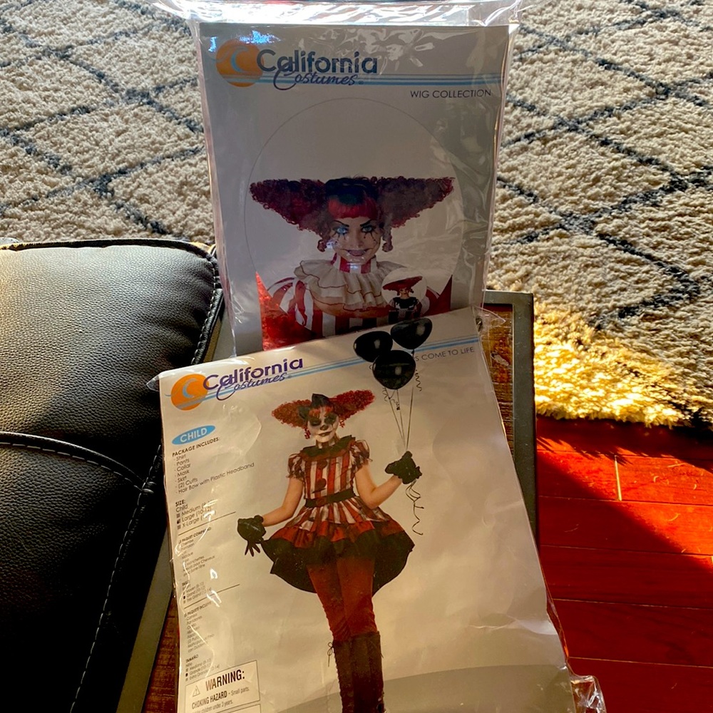 Creepy Clown Costume & Wig Size Large 10/12